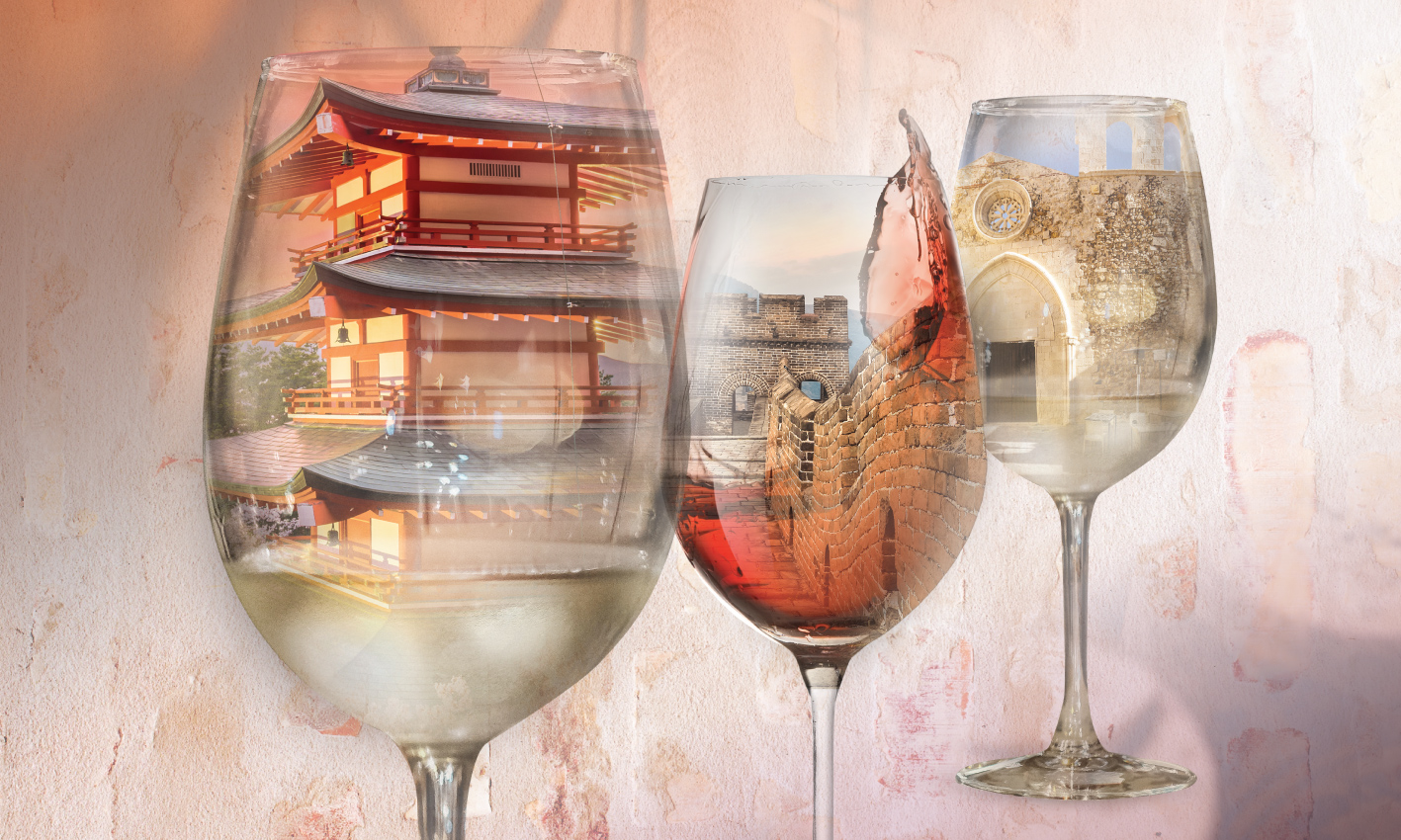 Discover the Wines of Asia