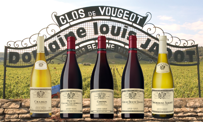 Louis Jadot Wine Dinner