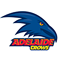 AFL Semi Final - Live