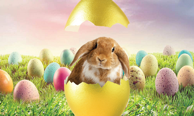 Have an EGGstraordinary Easter!